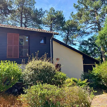 Sylviculteurs - Charmante Patio Renovee * Seignosse