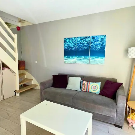 Sylviculteurs - Charmante Patio Renovee Seignosse